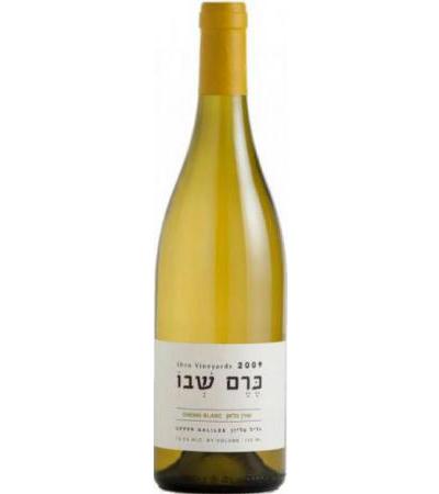 Israel Wine Shvo Winery Chenin Blanc