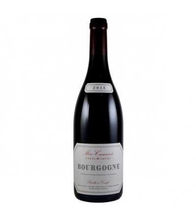 Meo Camuzet Bourgogne Rouge 2012 (750ml)